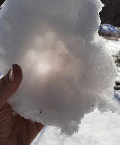 edit-20210224_145912